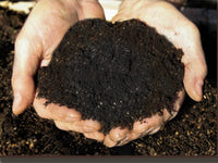 Thumbnail for Midwest's Select Bulk Substrate Casing Mix - 5 pounds