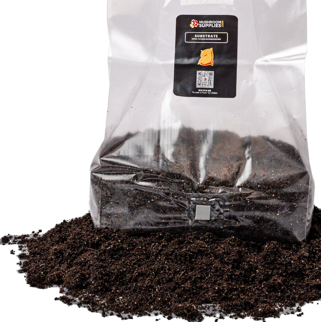 Organic Mushroom Grow Kit USA, Best Mushroom Growing Kit Max Yield Bins