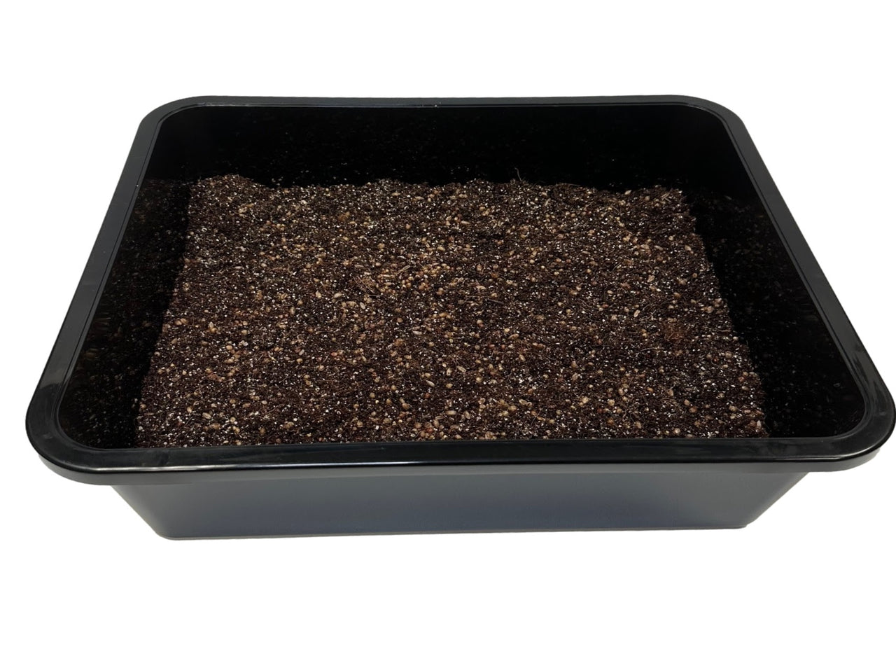 Midwest's Select Bulk Substrate Casing Mix - 5 pounds