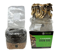 Thumbnail for All-in-One Mushroom Grow Bag (4 lbs) for Manure Loving Mushrooms