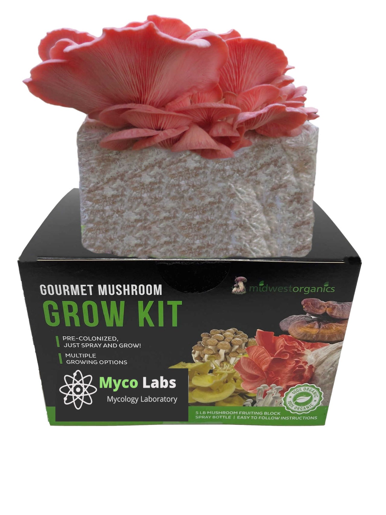 Pink Oyster Mushroom Grow Kit (5lbs)