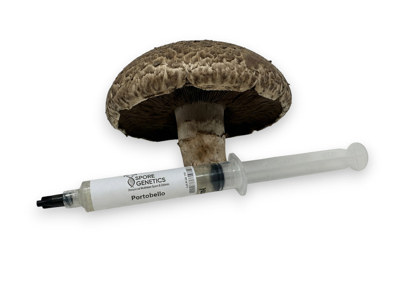 Portobello 10cc Liquid Culture Syringe