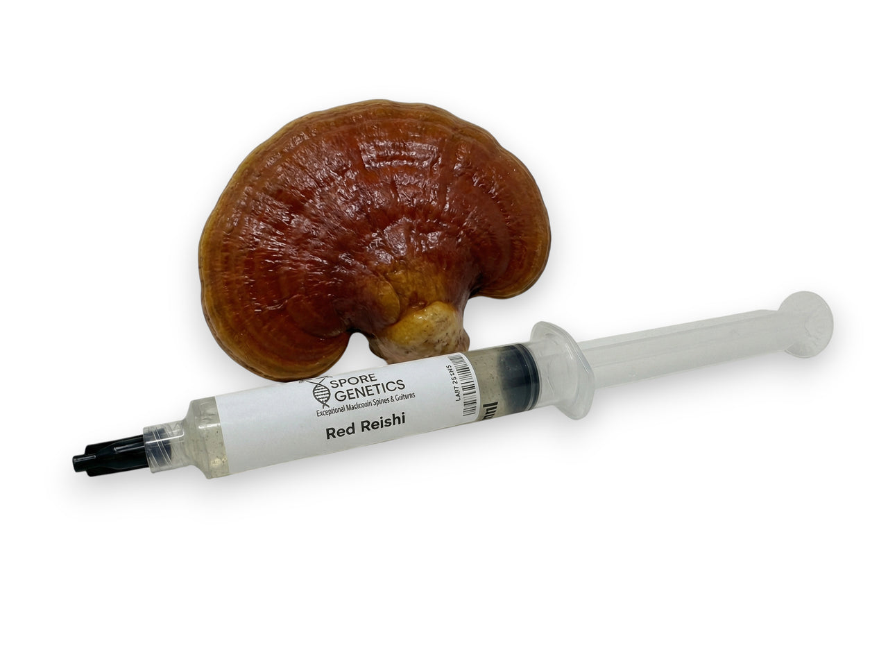 Red Reishi 10cc Liquid Culture Syringe
