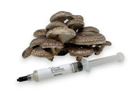Thumbnail for Shiitake 10cc Liquid Culture Syringe