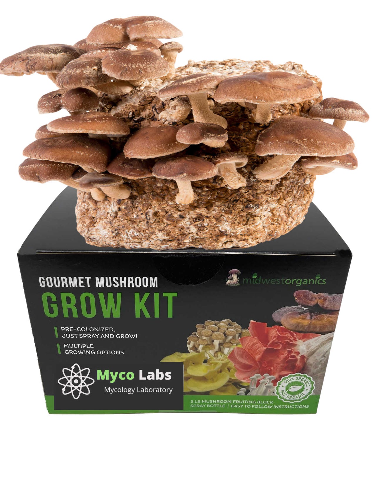 Shiitake Mushroom Grow Kit (5lbs)