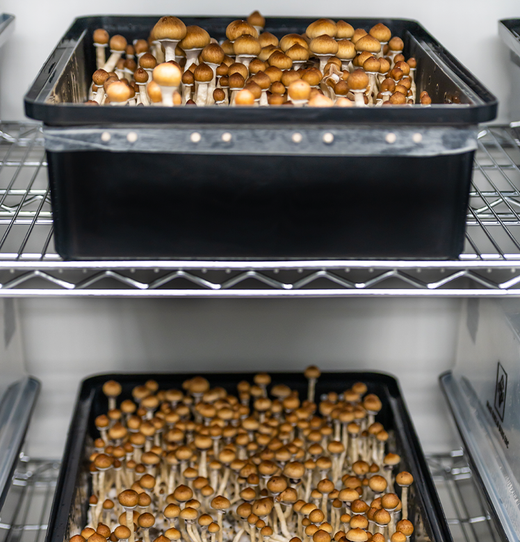 Tutorials Setting Up Your Max Yield Bin Max Yield Bins