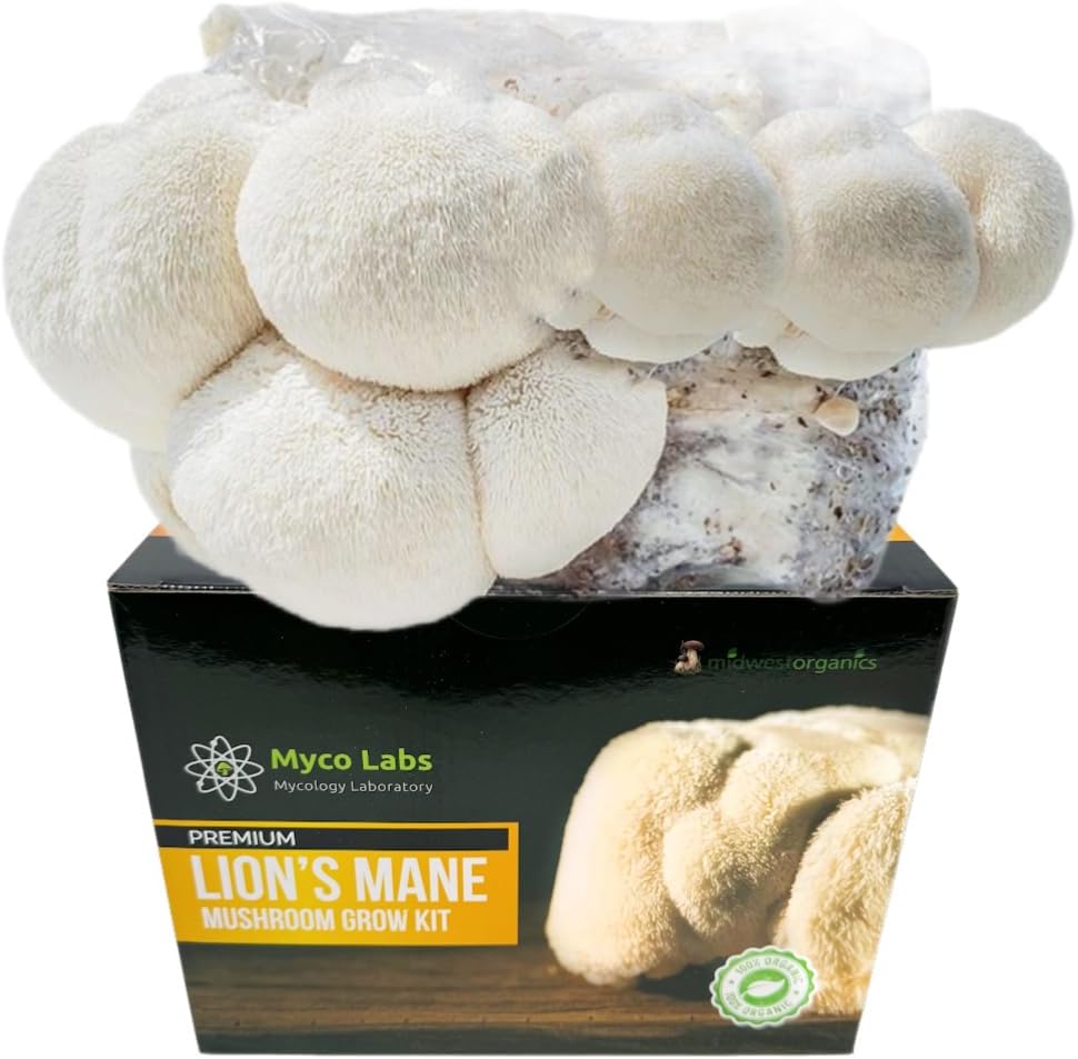 Lion's Mane Mushroom Grow Kit (5lbs)