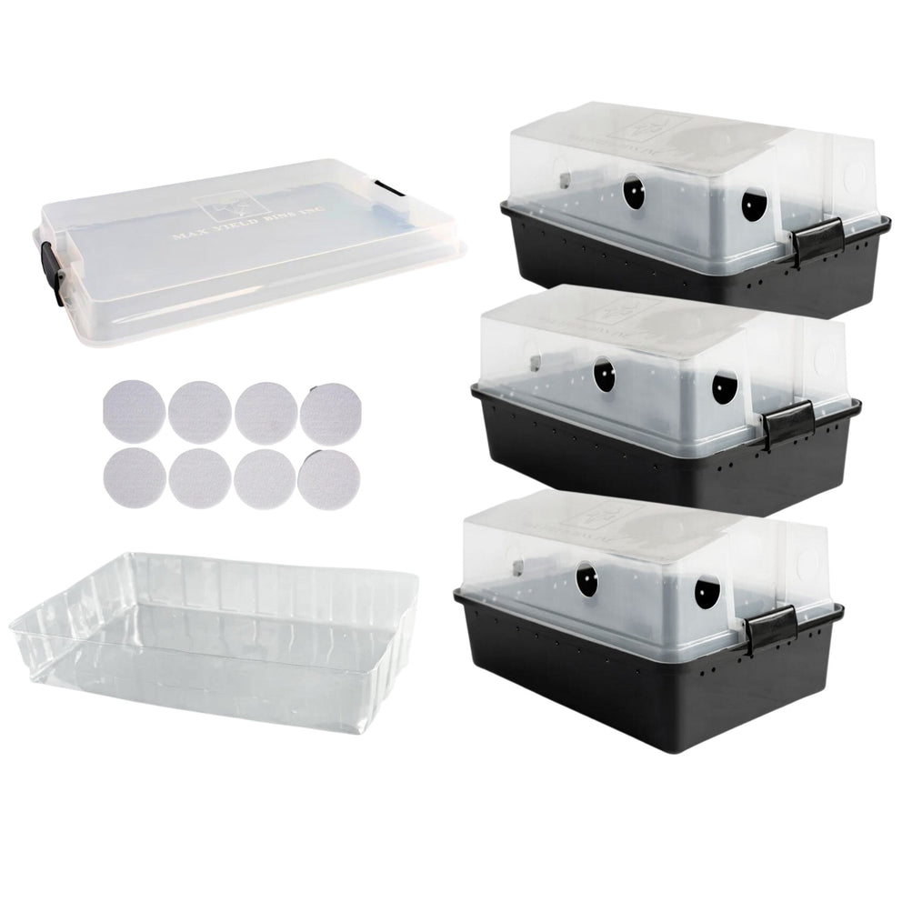 Organic Mushroom Grow Kit USA, Best Mushroom Growing Kit Max Yield Bins