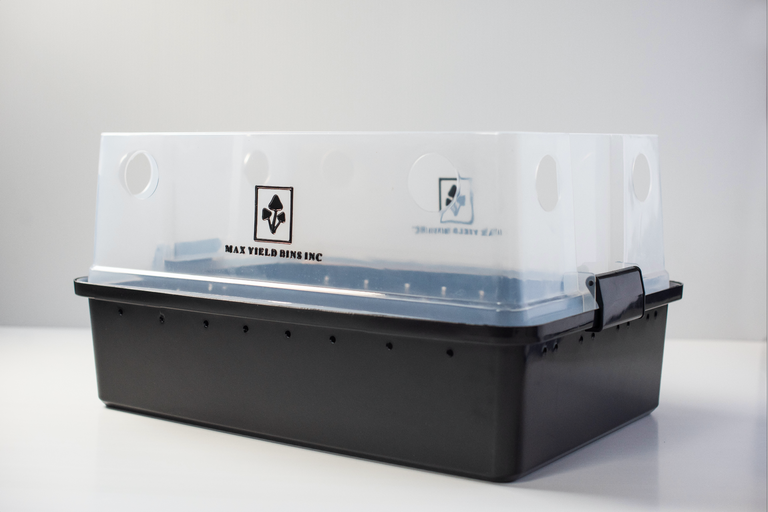 Mushroom Fruiting Chamber for Sale, Indoor Mushroom Fruiting Chamber