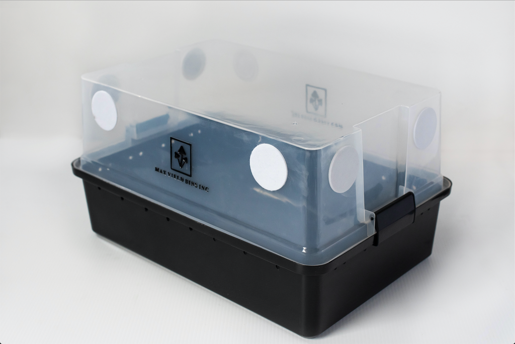 Organic Mushroom Grow Kit USA, Best Mushroom Growing Kit Max Yield Bins